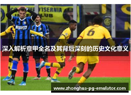 深入解析意甲全名及其背后深刻的历史文化意义 深入解析意甲全名及其背后深刻的历史文化意义
