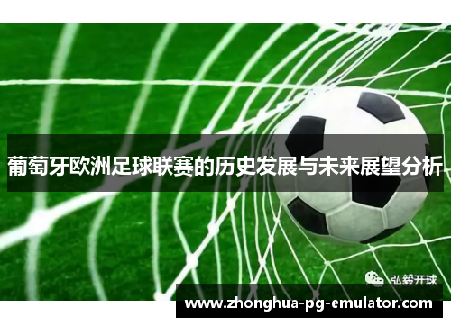 葡萄牙欧洲足球联赛的历史发展与未来展望分析
