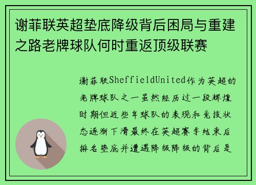 谢菲联英超垫底降级背后困局与重建之路老牌球队何时重返顶级联赛